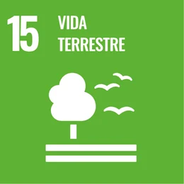 ODS 15: Vida terrestre